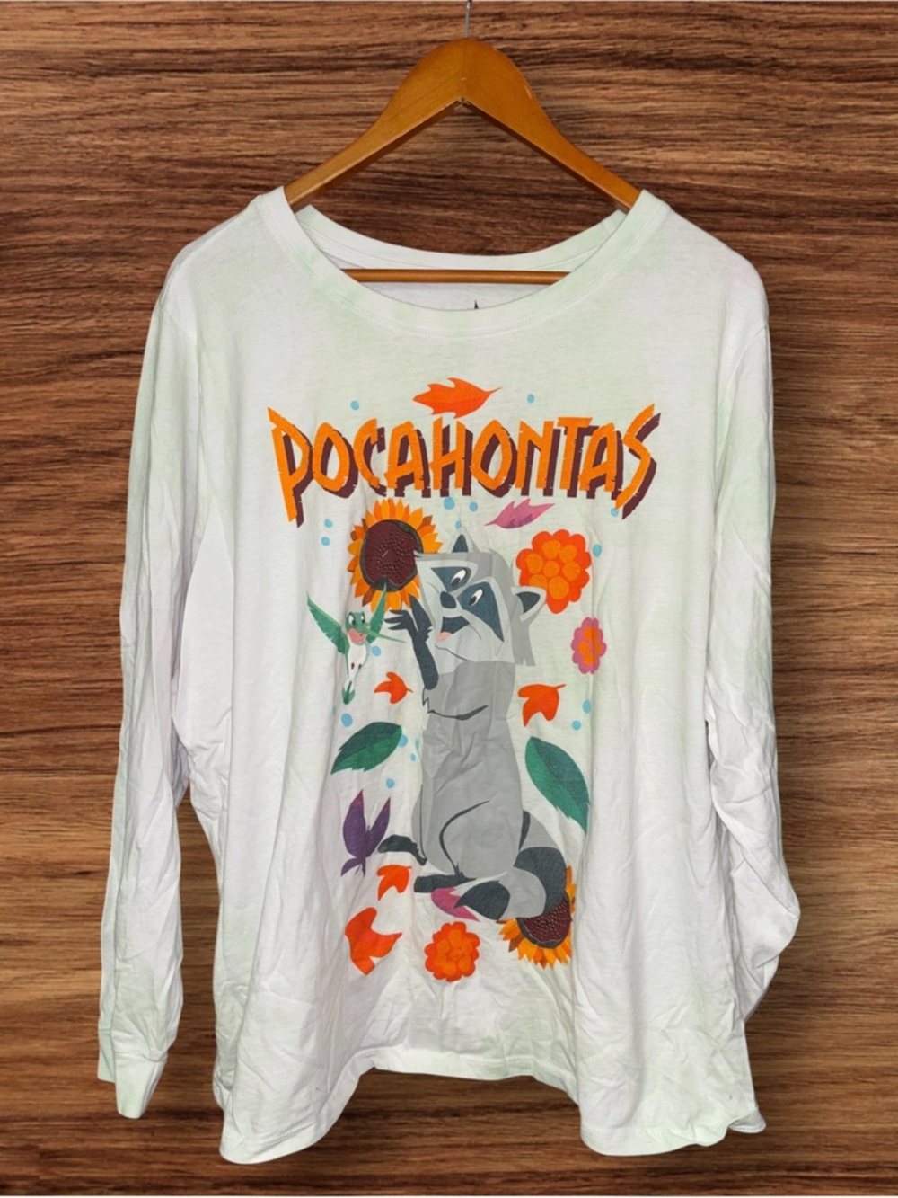Hot Topic Disney Princess Pocahontas Meeko & Flint Long-Sleeve Graphic Tee